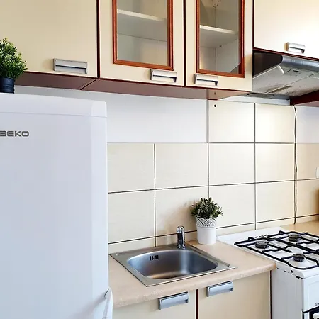 Iv & Parking * ソポト